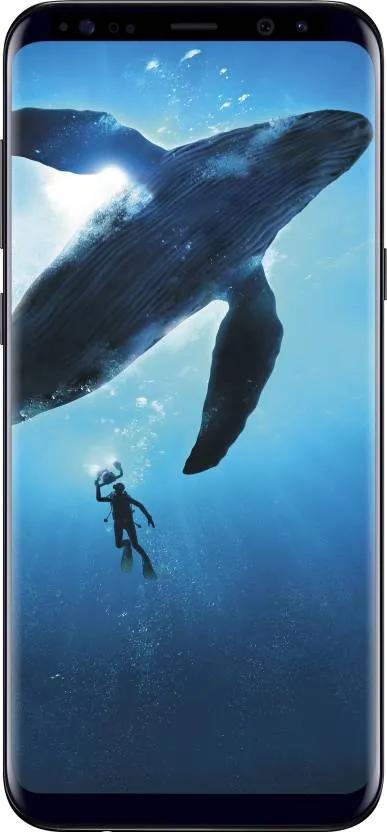 Buy Samsung Galaxy S8 - Renewed